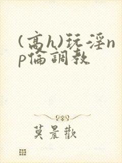 (高h)玩淫np伦调教