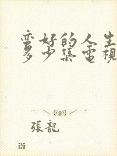 蛮好的人生一共多少集电视剧