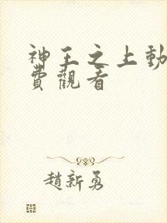 神王之上动漫免费观看