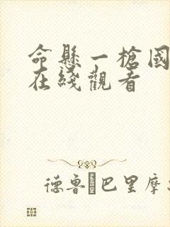 命悬一枪国语版在线观看