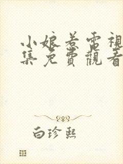 小娘惹电视剧全集免费观看