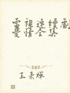 电视连续剧父母爱情全集