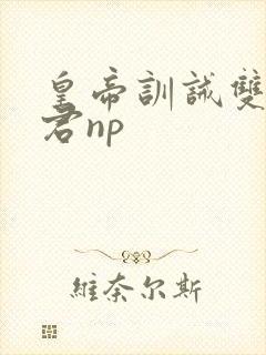 皇帝训诫双性侍君np