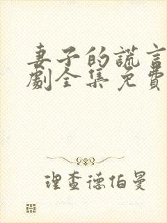 妻子的谎言电视剧全集免费完整版封面