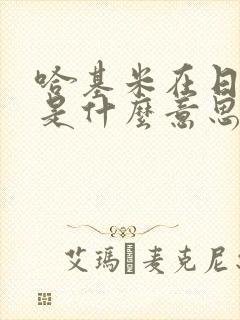 哈基米在日语中是什么意思