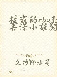 校霸的rbp封嘉泽小说阅读魏承泽