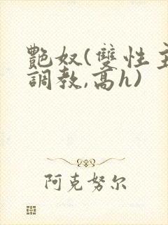 艳奴(双性主奴调教,高h)