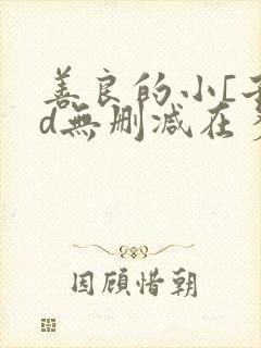 善良的小[子hd无删减在多少集