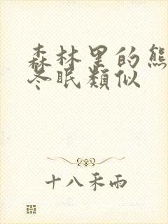 森林里的熊先生冬眠类似