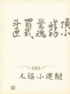 斗罗觉醒顶级剑匣武魂的小说封面