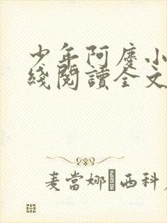 少年阿庆小说在线阅读全文封面