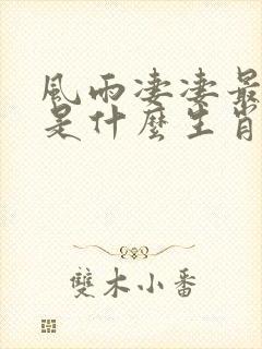 风雨凄凄最孤独是什么生肖