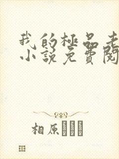 我的极品老婆们小说免费阅读