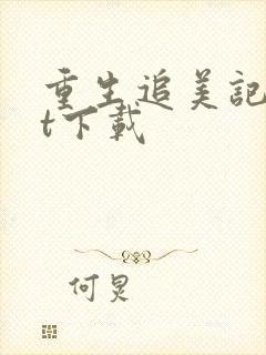 重生追美记txt下载封面