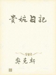 贵婉日记封面