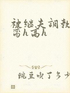 被继夫调教成禁脔h高h封面