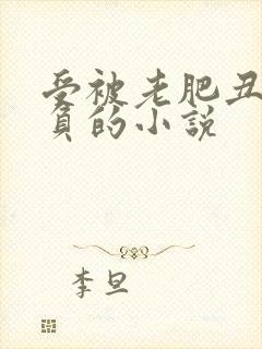 受被老肥丑攻欺负的小说