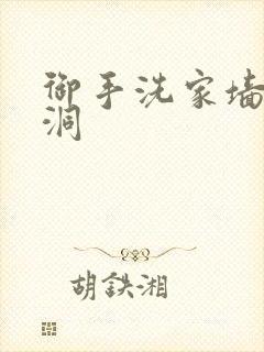 御手洗家墙壁有洞封面