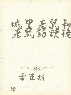 城里老鼠和乡里老鼠的读后感