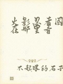 火影忍者国语版在哪里看