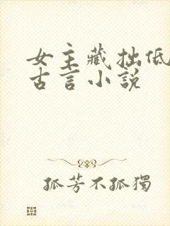 女主藏拙低调的古言小说封面