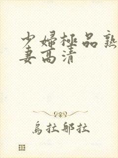 少妇极品熟妇人妻高清