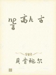 np 高h 古言