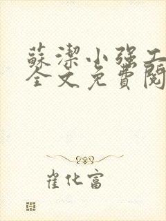 苏洁小强工地情全文免费阅读封面