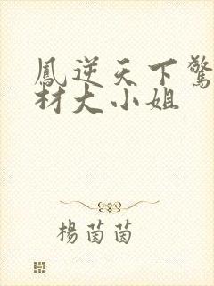 凤逆天下惊世废材大小姐