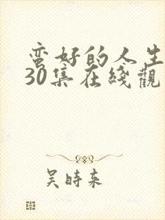 蛮好的人生免费30集在线观看