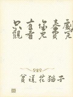 只有你泰剧在线观看免费完整版