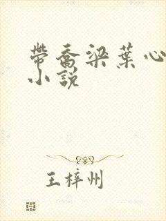 带乔梁叶心仪的小说