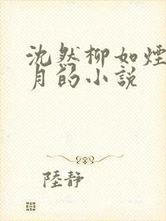 沈然柳如烟苏清月的小说封面