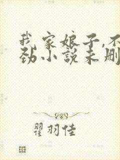 我家娘子,不对劲小说未删版全文