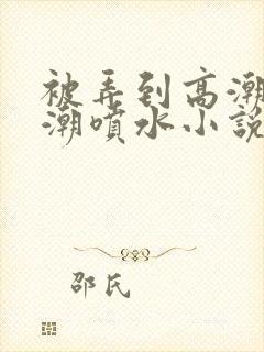 被弄到高潮失禁潮喷水小说