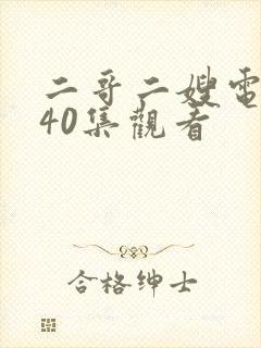 二哥二嫂电视剧40集观看