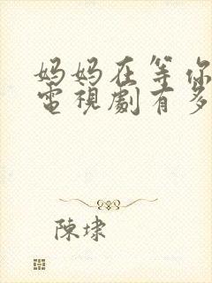 妈妈在等你这部电视剧有多少集