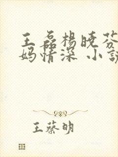 王磊杨晓芬 后妈情深 小说
