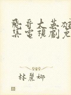 飞哥大英雄40集电视剧免费观看封面