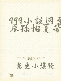 999小说网叶辰孙怡夏若雪