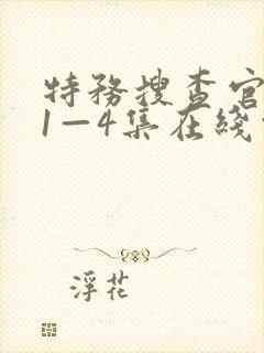 特务搜查官风子1—4集在线观看