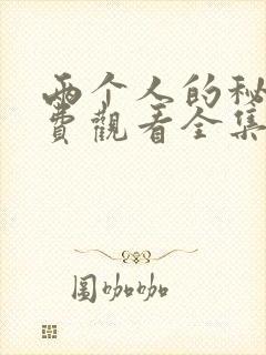 两个人的秘密免费观看全集高清完整版封面