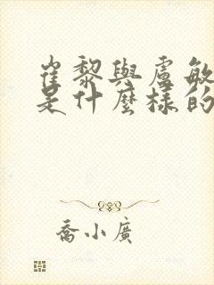 崔黎与卢敏结局是什么样的封面