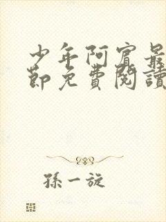 少年阿宾最新章节免费阅读