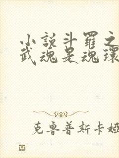 小说斗罗之我的武魂是魂环全文阅读封面