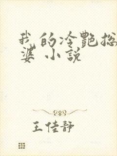 我的冷艳总裁老婆 小说封面