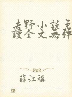 去野小说免费阅读全文无弹窗