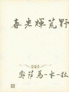 春光辉荒野