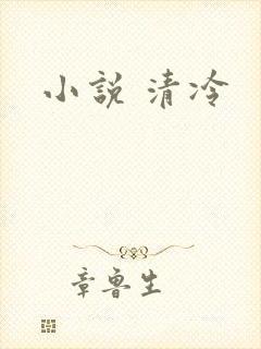 小说 清冷