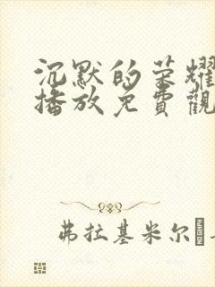 沉默的荣耀在线播放免费观看